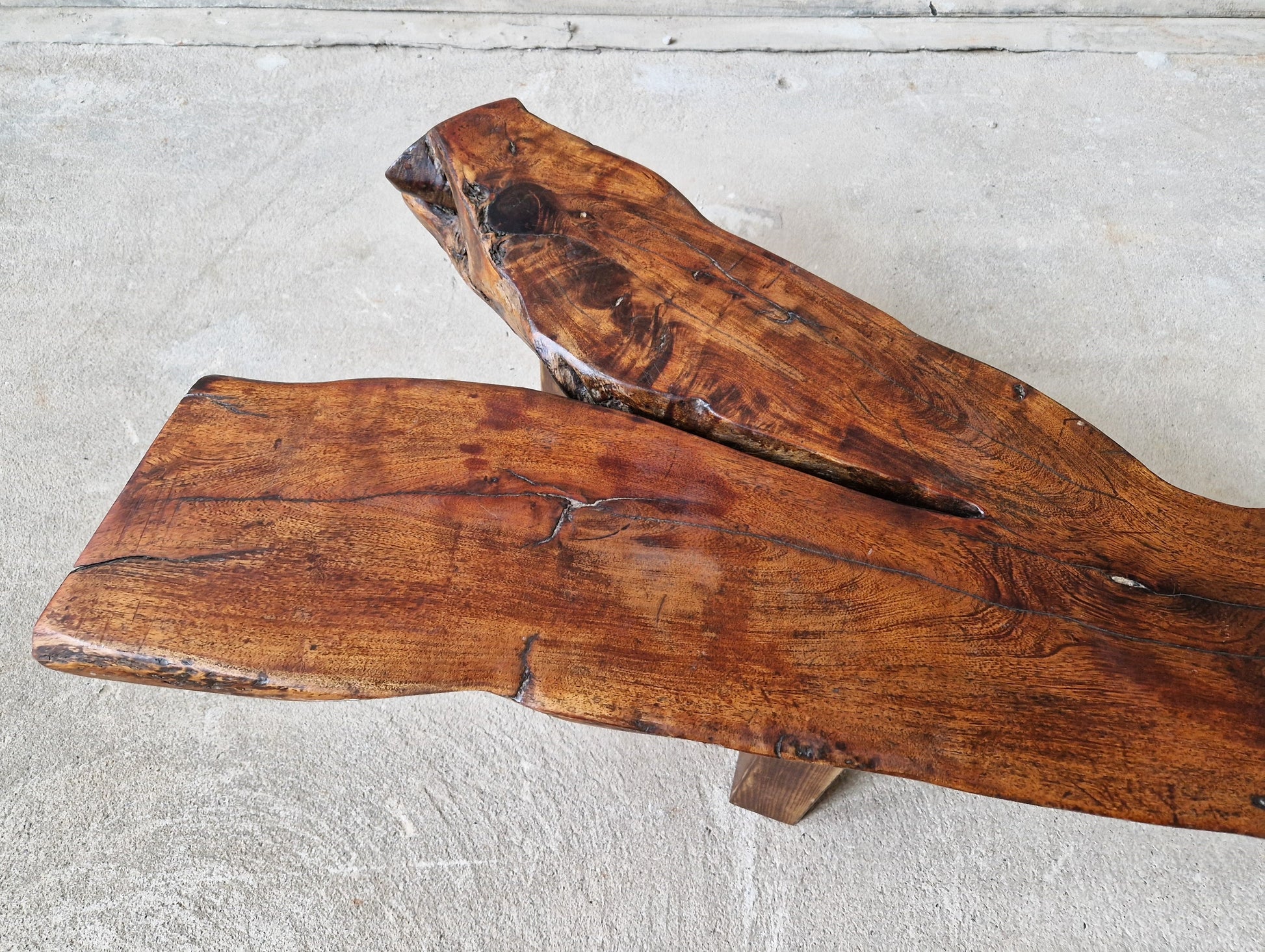 Brutalist Trunk Tree Coffee Table or Bench, 1960s - COLLECTORS RDAM