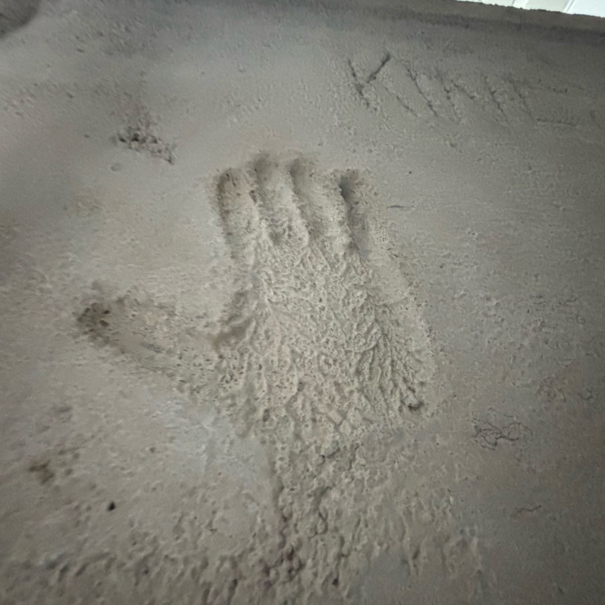 Early brutalist coffee table, Paul Kingma, 1963, The Netherlands - Collectors - Net.Work